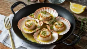 Как приготовить морские гребешки вкусно