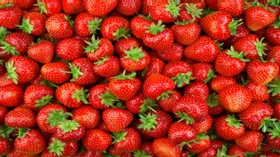 Ученые: всего одна ягода, сезон которой скоро наступит, может снизить риск развития деменции и болезни Альцгеймера