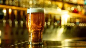 Философия пива: как вода и дрожжи меняют вкус напитка: технология, состав и интересные факты