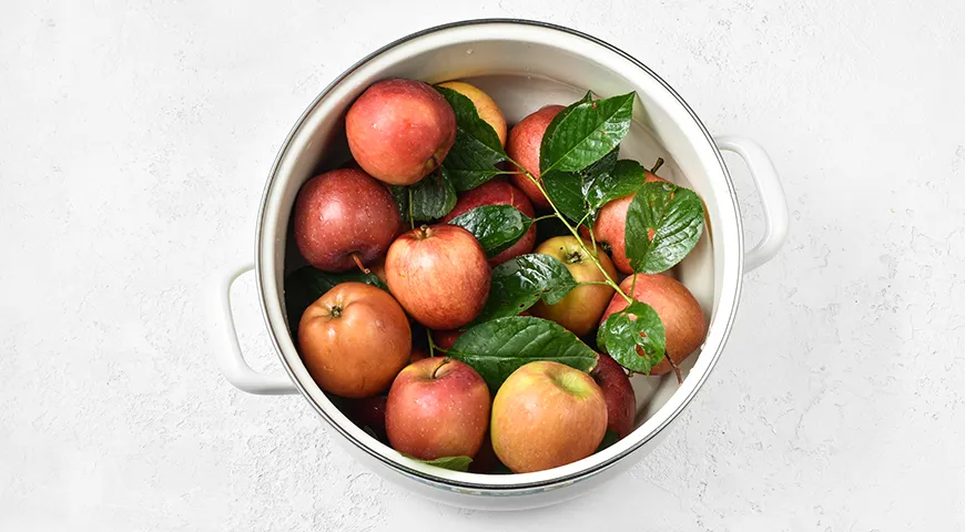 Домашние моченые яблоки