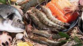 90 процентов морепродуктов вскоре могут исчезнуть из-за климатического кризиса
