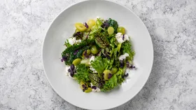 Рецепты с мягкими сырами и соусами