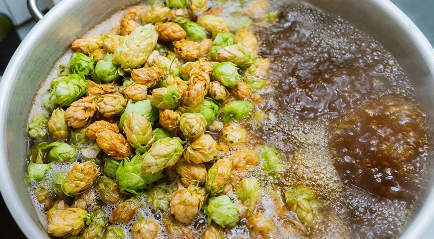 Сусло кипятили с хмелем. Хмель тогда был лекарством, а кипячение — санитарным минимумом