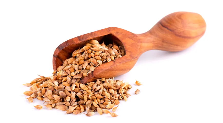 Для приготовления уцхо-сунели используют семена голубого пажитника