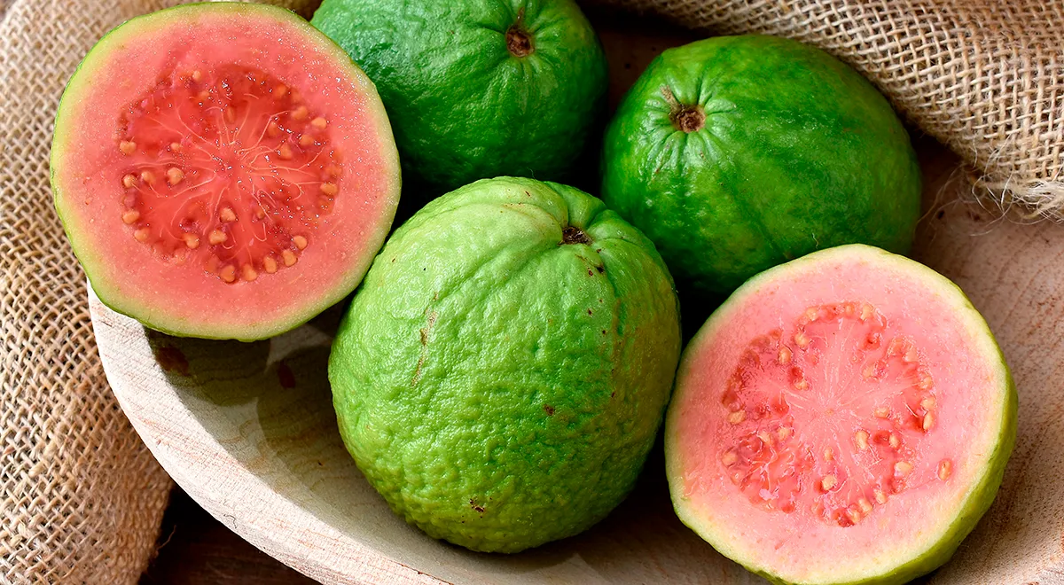 Гуава: какой вкус у этого экзотического фрукта, как ее есть и чем она полезна