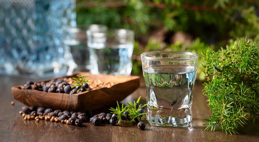 В основе производства джина лежит требование доминирования можжевельника