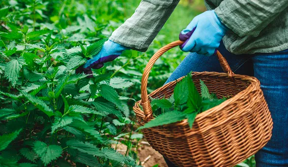 5 продуктов, которые стоит есть и готовить в мае