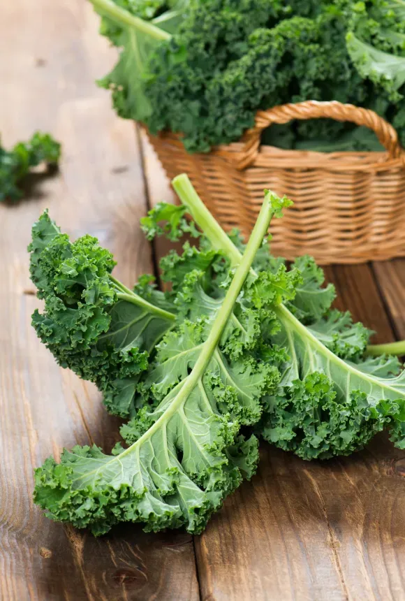 Капуста кале