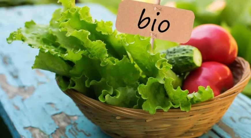 Биопитание. Органические продукты: польза, особенности, правила выбора