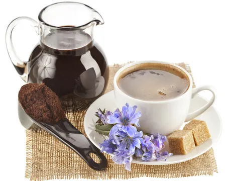 Цикорий вместо кофе - пить или не пить? – 4fresh блог