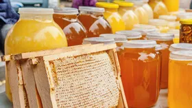 Умеете ли вы выбирать мед? Тест