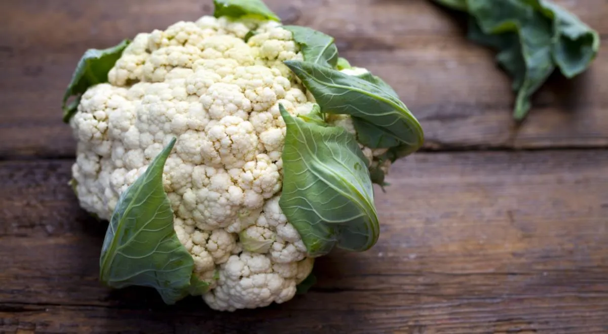 Цветная капуста собаке можно. Капуста цветная Толедо f1. Цветной капусты (Brassica cauliflora).. Винсон цветная капуста. Цветной.