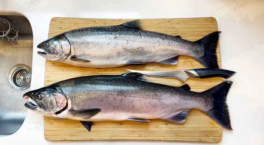 У свежего кижуча чешуя должна плотно прилегать, сохраняя серебристый отлив, без следов слизи или высохших участков