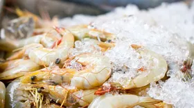 Креветки – как выбирать