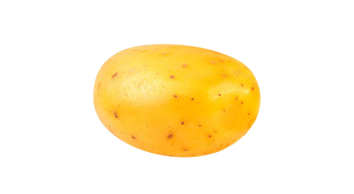 Картофель Гала