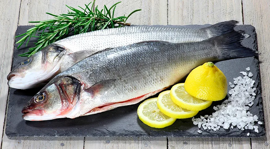 Европейский сибас обладает светлой серебристой чешуей, удлиненным туловищем и сравнительно небольшой головой