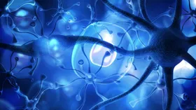 Пища для мозга: ученые объяснили, какой завтрак делает человека умнее