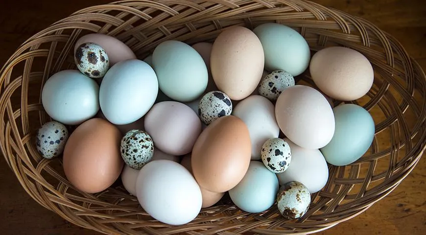 Разноцветные яйца можно варить так же, как и обычные
