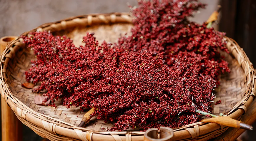 Байцзю производят из гаоляна, который является особой разновидностью китайского сорго