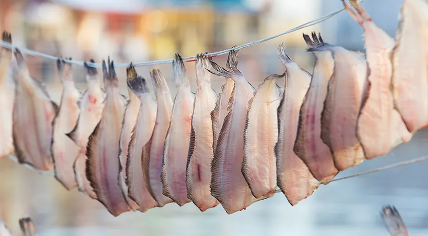 Для производства высококачественной вяленой камбалы используют свежее или охлажденное сырье