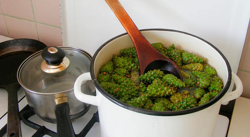 При варке молодые сосновые шишки выделяют смолистые вещества и пектин, за счет которых сиропы, варенья и джемы приобретают приятную густоту