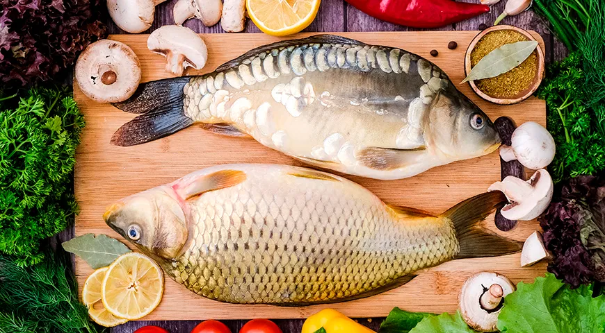 Основное отличие зеркального карпа от обычного — это практически полное отсутствие чешуи, что упрощает его обработку, а также более нежное мясо с меньшим количеством мелких костей