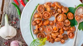 Маринованные рыжики на зиму