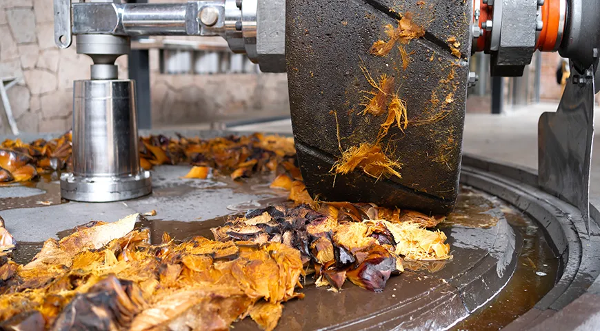 Запеченную агаву растирают, чтобы получить сок, который в дальнейшем используется для производства текилы