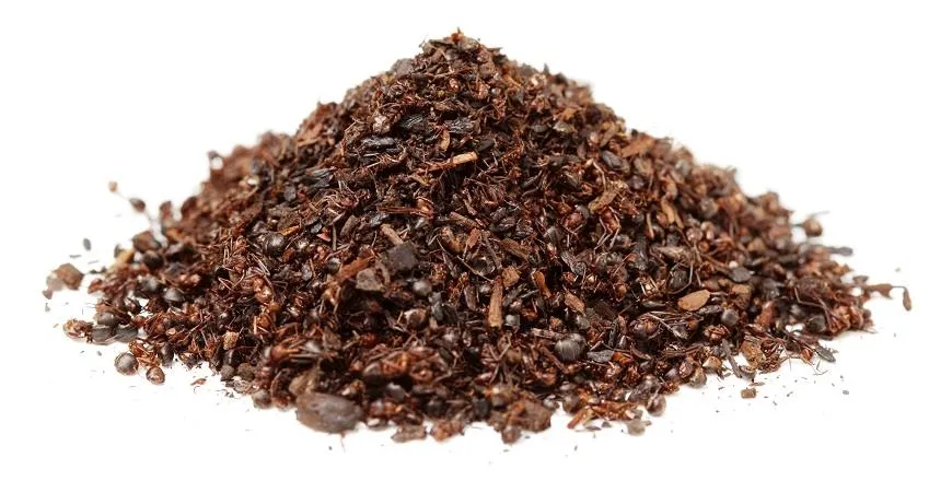 Муравьиный чай — средство китайской медицины