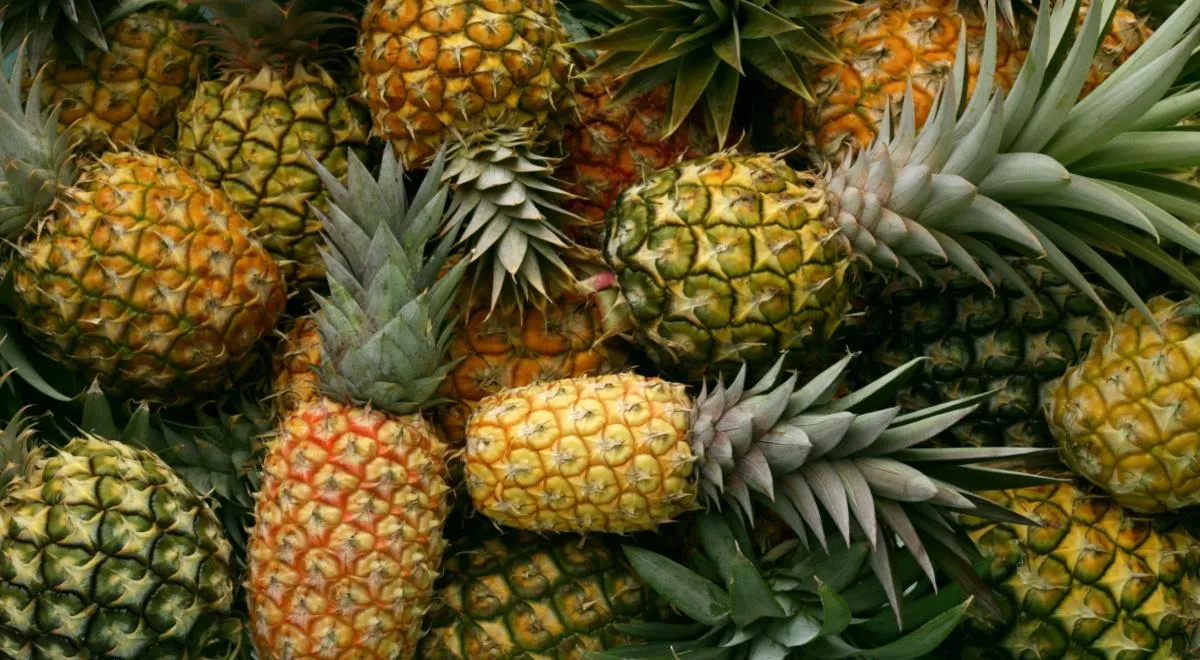 Правда ли, что ананас сжигает жиры в организме, рассказала диетолог