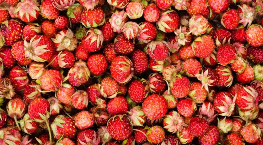 Клубника - описание продукта, как выбирать, как готовить, читайте на ...