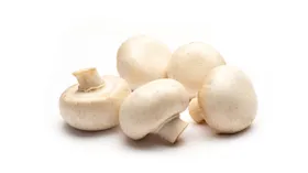 Шампиньоны: описание продукта, как выбирать, что приготовить