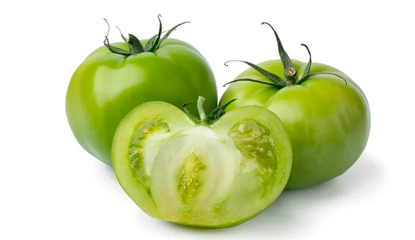 Зеленые помидоры