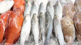 В Карелии создадут особый аквакультурный кластер