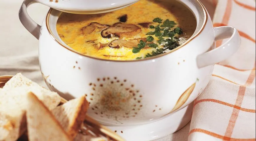Суп из белых грибов: подробный пошаговый рецепт, фото — Рецепты