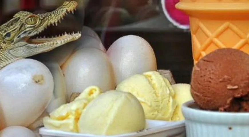 Мороженое из крокодильих яиц 