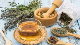 Мята и чабрец: какие травяные чаи защитят организм от болезней