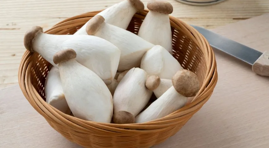 Королевские вешенки, или эринги, отличаются от других разновидностей по внешним признакам, кроме того, это чемпионы по содержанию легкоусвояемого белка