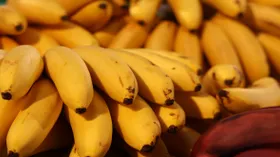 Врач сказала, кому необходимо есть бананы каждый день