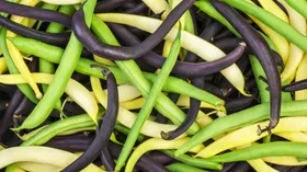 Желтая восковая фасоль