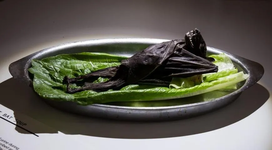 Музей отвратительной еды откроется в Швеции