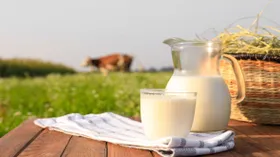 Под запретом: три неожиданных продукта, которые повышают холестерин 