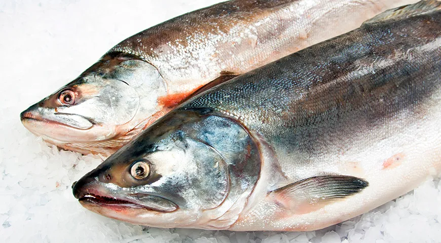 Свежая кета должна иметь серебристую чешую без пятен, глаза — прозрачные, выпуклые и без мути