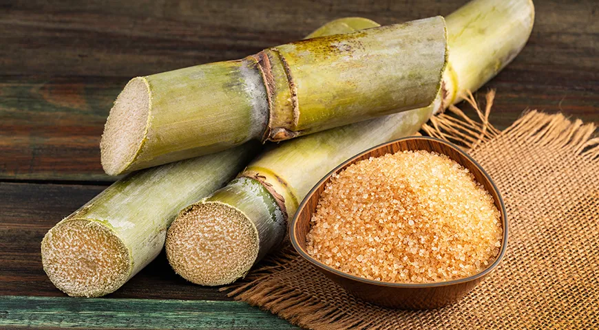 Коричневый сахар производят из сахарного тростника — гигантского многолетнего злакового растения, которое произрастает в тропиках 