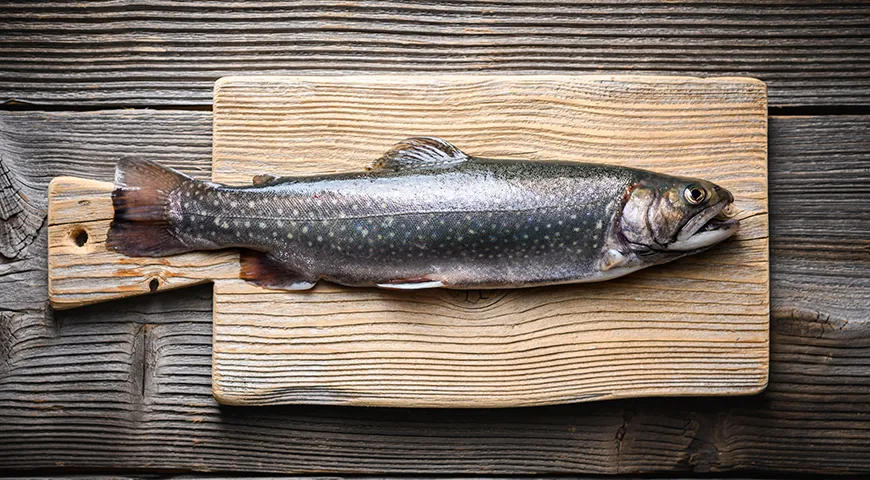 Кожа свежего гольца должна быть гладкой, слегка влажной, без липкости и слизи, с естественным блеском