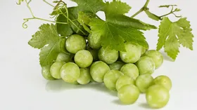 Белый налет на винограде — что это такое на самом деле?