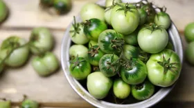 2 вида помидоров, которые лучше не есть: запомните перед пикниками