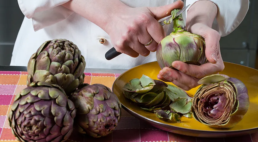 У артишоков едят только мясистое основание листьев, основание стебля и нежное «донце», 2/3 веса артишока, отправляется в компост