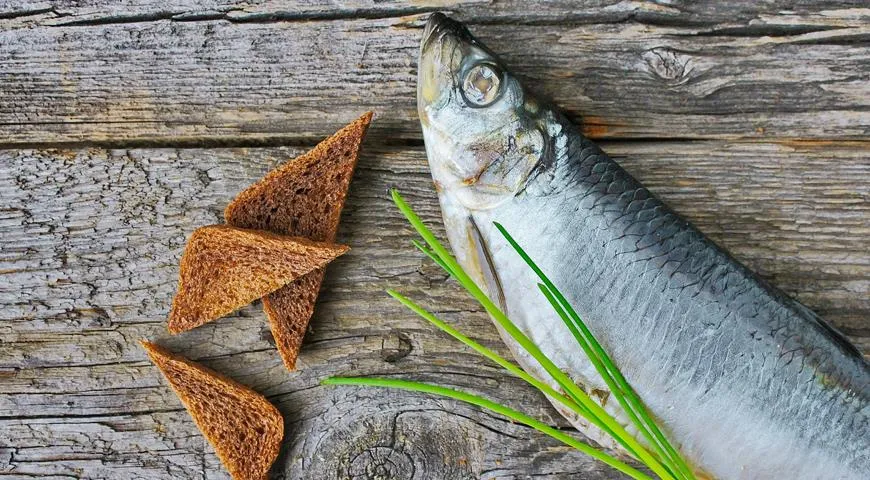 Блюда из селёдки для любого повода: форшмак, тартар и рулетики