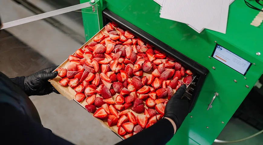 Сублимационная сушка клубники — это заморозка при -30…-40°C с последующим удалением льда в вакууме и досушиванием при +40°C для сохранения качества